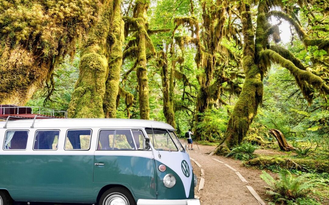 8 Washington Nationwide Park Street Journeys With Scenic Stops