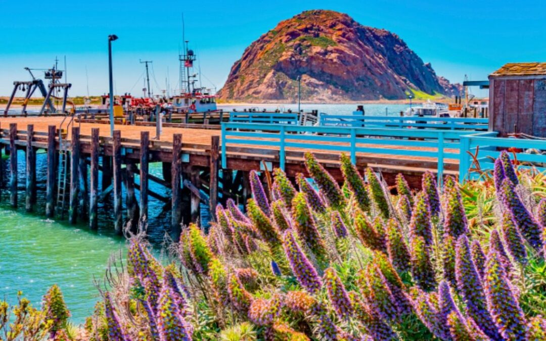 7 Small Cities In California That Are Nice Options To San Francisco