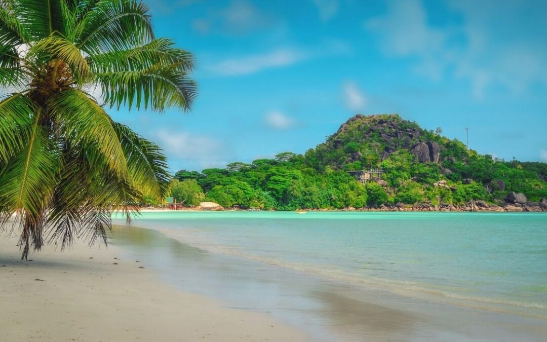 How Much Does It Cost To Visit Seychelles? A Budget Breakdown